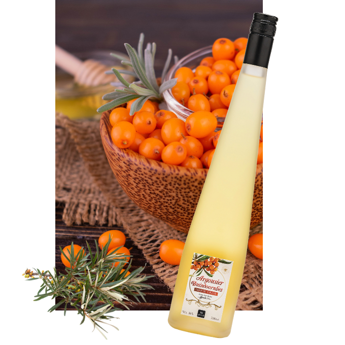 Liqueur Argousier
